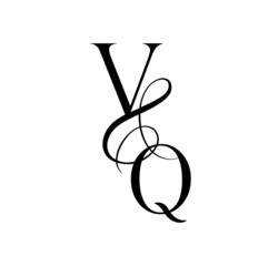 qv, vq, monogram logo. Calligraphic signature icon. Wedding Logo Monogram. modern monogram symbol. Couples logo for wedding
