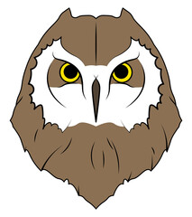 Owl head cartoon bird animal isolated illustration