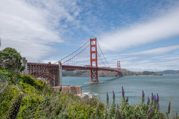 Panorama Blick mit Blumen auf die Golden Gate Bridge und Bucht von San Francisco