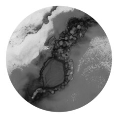 organic circular element with a transparent background