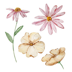 Fototapeta na wymiar Watercolor set of garden flowers