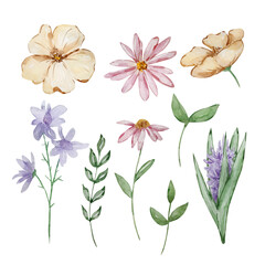 Watercolor set of garden flowers