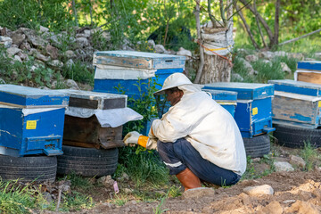 Selective focus shot of beekeeper or bee feeder checking bee hives.