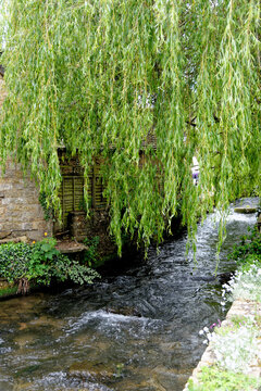 View Across The River Windrush - Bourton On The Water