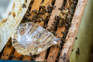 Sugary water in plastic bag is put into the beehive to feeding bees.