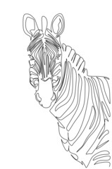 Single continuous line drawing of elegant zebra company logo identity. Horse with stripes mammal animal concept for national park safari zoo mascot. Modern one line draw design graphic illustration