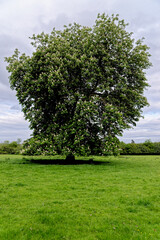 Landscape from the Cotswold village of Bourton on the Water