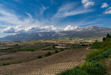 Fototapeta na wymiar landscape view of vineyards and mountains in the La Rioja Alavesa region of northern Spain