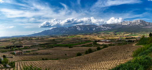 landscape view of vineyards and mountains in the La Rioja Alavesa region of northern Spain - obrazy, fototapety, plakaty