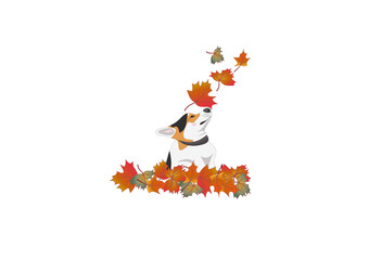 autumn, vector, illustration, leaf, fall, cartoon, leaves, nature, orange, maple, flower, art, season, animal, tree, dragon, design, holiday, bird, woman, decoration, silhouette, card, animals, hallow