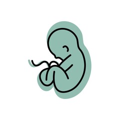 Development of the human embryo in the womb. Trendy flat isolated color symbol, sign can be used for: illustration, infographic, logo, mobile, app, banner, web design, dev, ui, ux, gui. Vector EPS 10