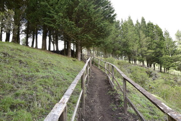 Fototapeta na wymiar dirt road through the forest with wooden railings. Laguna Cuicocha, lagoon inside the crater of the Cotacachi volcano.