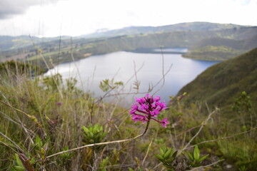 Obraz premium Laguna Cuicocha, beautiful blue lagoon with islands inside the crater of the Cotacachi volcano