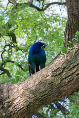 Buenos Aires, Argentina