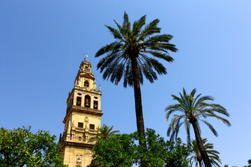 Bell tower in the Mezquita de Cordoba in Spain next to two palm trees on a sunny summer day