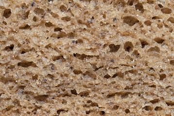 Porous texture of rye bread