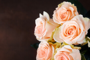 A bouquet of roses is beautiful, fresh, bright on a dark brown background.