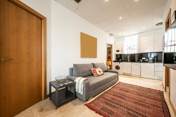 Apartment with open kitchen, sofa bed upholstered in gray fabric, jarapa on the cream marble floor...