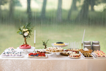Table with loads of cakes and cupcakes
