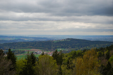 Forest in Bavaria in spring