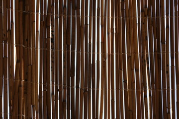 bamboo background