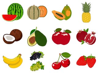 Fruits set vector drawing on isolated background collection of watermelon melon papaya pineapple coconut avocado apple pomegranate banana black green grapes cherry strawberry illustration flat design