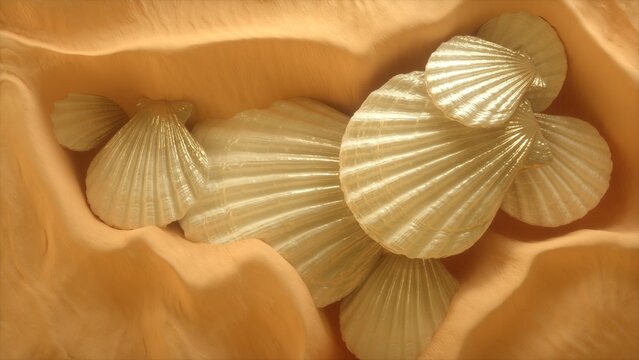 seashell on a sand background