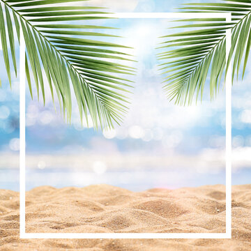 Summer background with frame, golden beach with rays of sun light and leaf palm. Copy space, summer vacation concept.