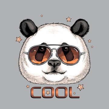 Cute big panda in sunglasses. Vector illustration. Stylish image for printing on any surface