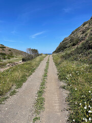 Santa Cruz Channel Island
