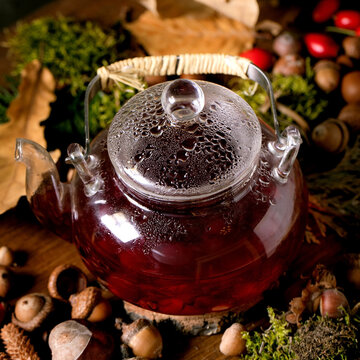 Herbal berries tea on magic autumnal forest background