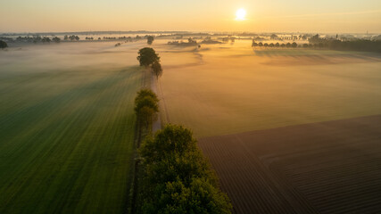 Aerial Drone Shot of a beautiful Green and Yellow Agricultural Plantations Bordering with Wild...
