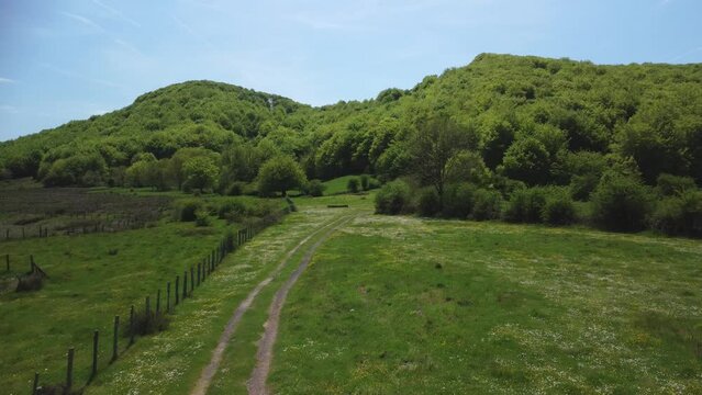 The field in spring. Fences for cattle, beech forests, pastures. Belate, Navarre