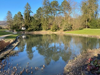 Beautiful pond in germany on a sunny day with blue clear sky
