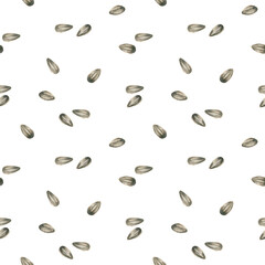 Watercolor seamless pattern with peeled sunflower seeds isolated on a white background. Bright summer collection.