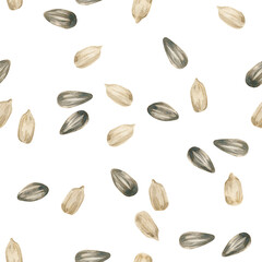 Watercolor seamless pattern with peeled sunflower seeds isolated on a white background. Bright summer collection.