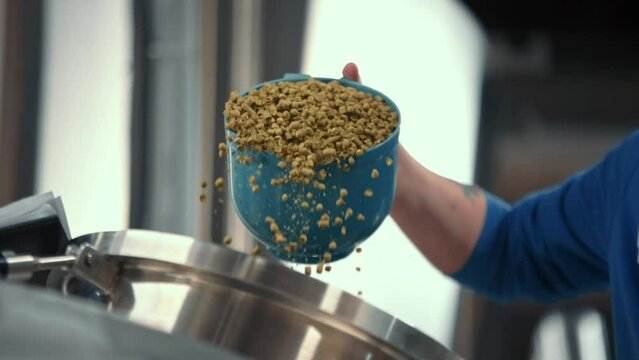 Granulated malt is poured into a tank for the production of beer, a brewery