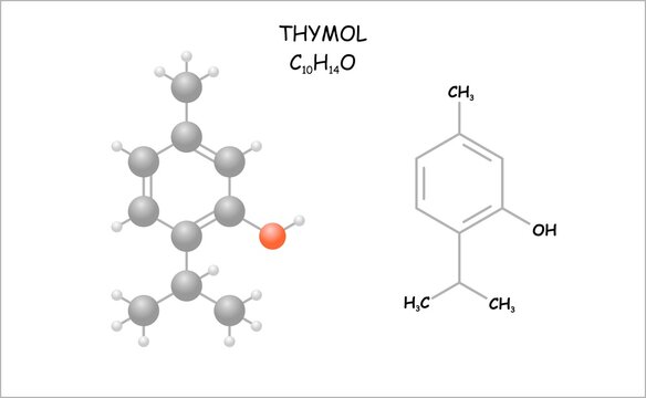 Stylized molecule model/structural formula of thymol. Use as aroma and disinfectant.