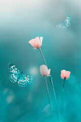 Pink wild flowers and butterflies. Spring summer background.