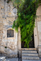 Fototapeta na wymiar medieval doorway in Italy covered by a tree