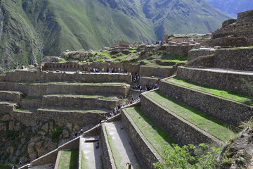 Stone terraces with seedlings in Inca ruins of Ollantaytambo, Peru. Ancient building in Sacred...