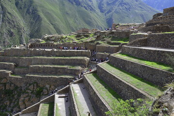 Stone terraces with seedlings in Inca ruins of Ollantaytambo, Peru. Ancient building in Sacred Valley in Peruvian Andes