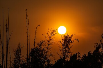 atardecer en cielo de Mexico