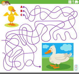 Obraz na płótnie Canvas maze game with cartoon duck character and little duckling
