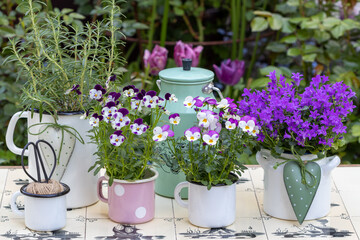 Garten-Dekoration mit Hornveilchen, Glockenblume und Rosmarin in vintage Emaille-Töpfen