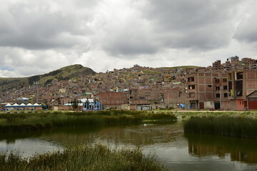 Fototapeta na wymiar Green tall grass on the shore of Lake Titicaca. Puno, Peru