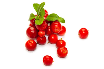 Fresh forest berry cowberry on white background