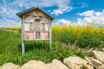Bienenkasten und Insektenhotel auf einer Wiese neben einem gelb blühenden Rapsfeld mit deutscher...
