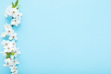 Fresh branch of beautiful white cherry blossoms on light blue table background. Pastel color. Closeup. Empty place for inspirational text, lovely quote or positive sayings. Top down view.