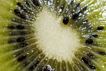 close up of kiwi fruit